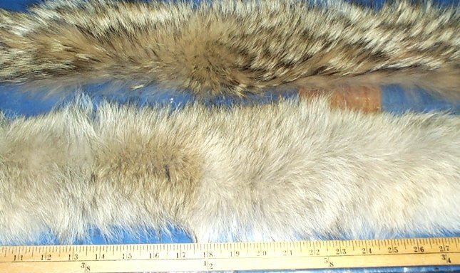 Coyote fur outlet hood trim